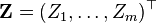 \mathbf{Z}=(Z_1,\ldots, Z_m)^{\top}