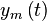y_m \left( t \right)
