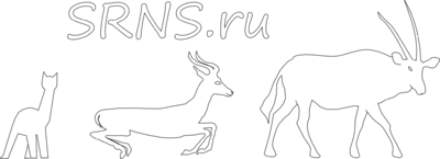 20141015 SRNS Evolution.svg