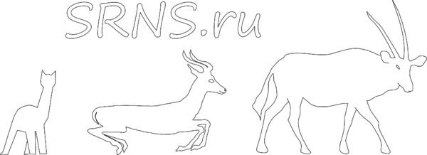 20141015 SRNS Evolution.svg